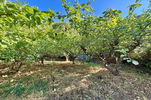 Rear Gardens- click for photo gallery